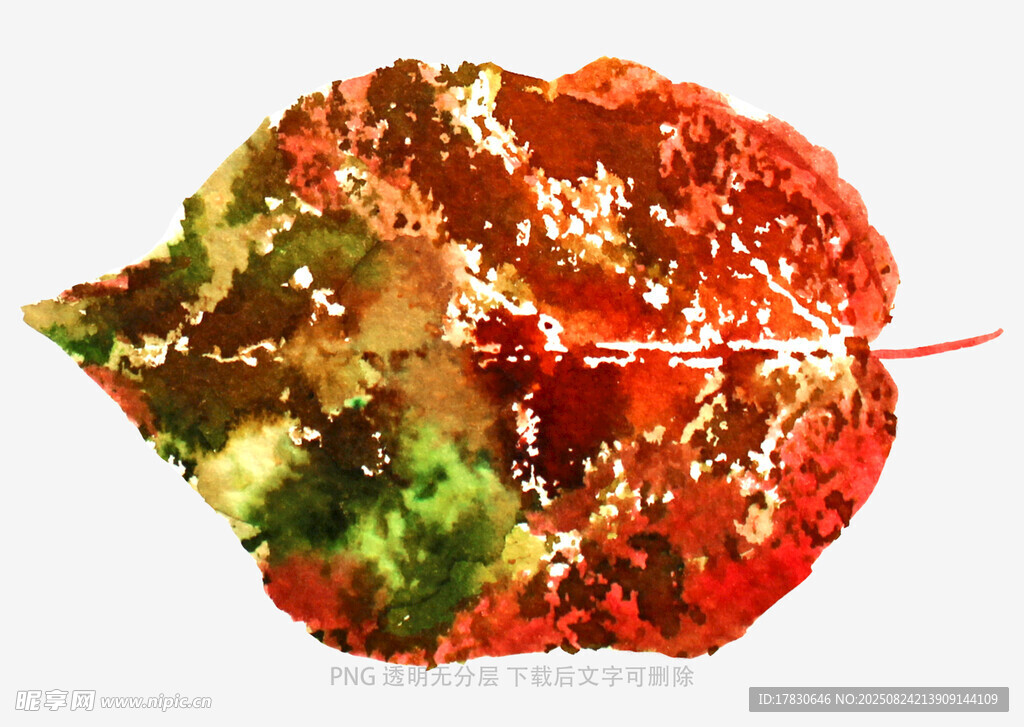 創(chuàng)意蔬菜拼成的紅葉
