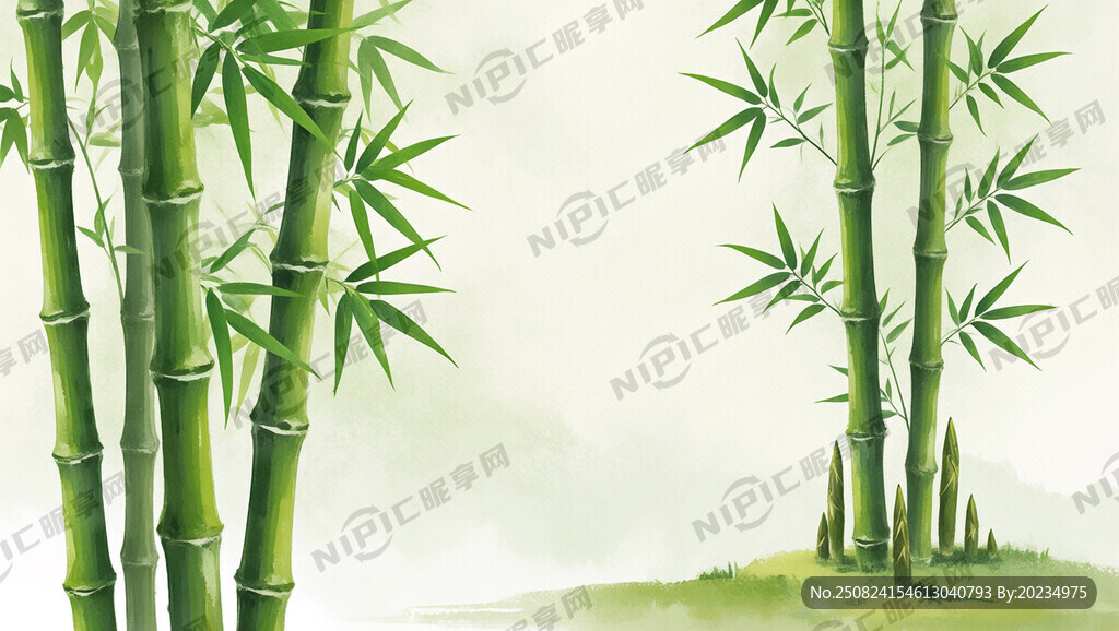 一片竹子和竹筍