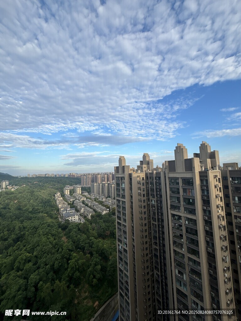 高層俯瞰城市與蔥郁景觀