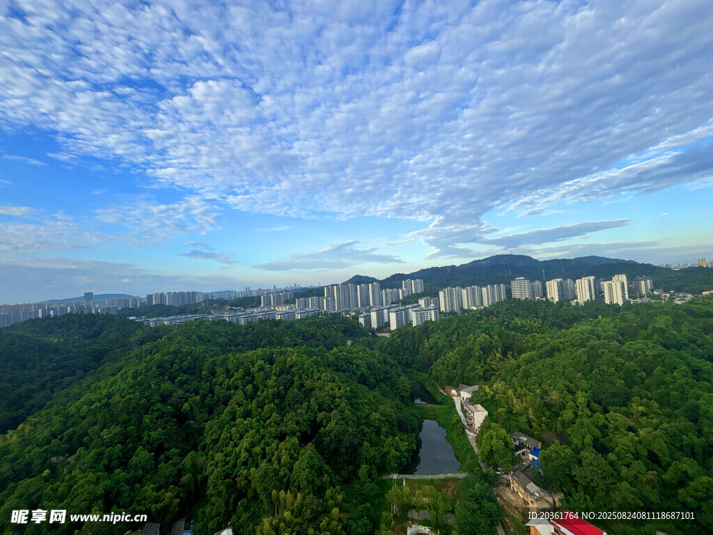 俯瞰翠綠山林與城市建筑