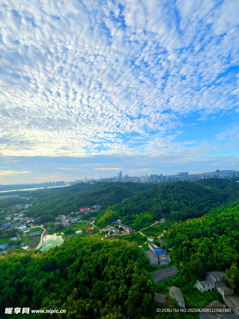俯瞰蔥郁山林與天際美景