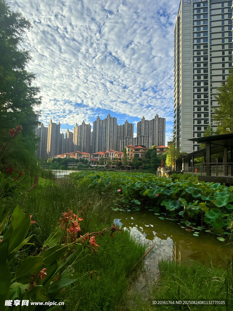城市河畔綠意景觀