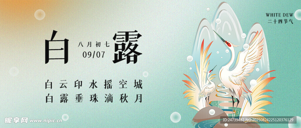 白露海報(bào)