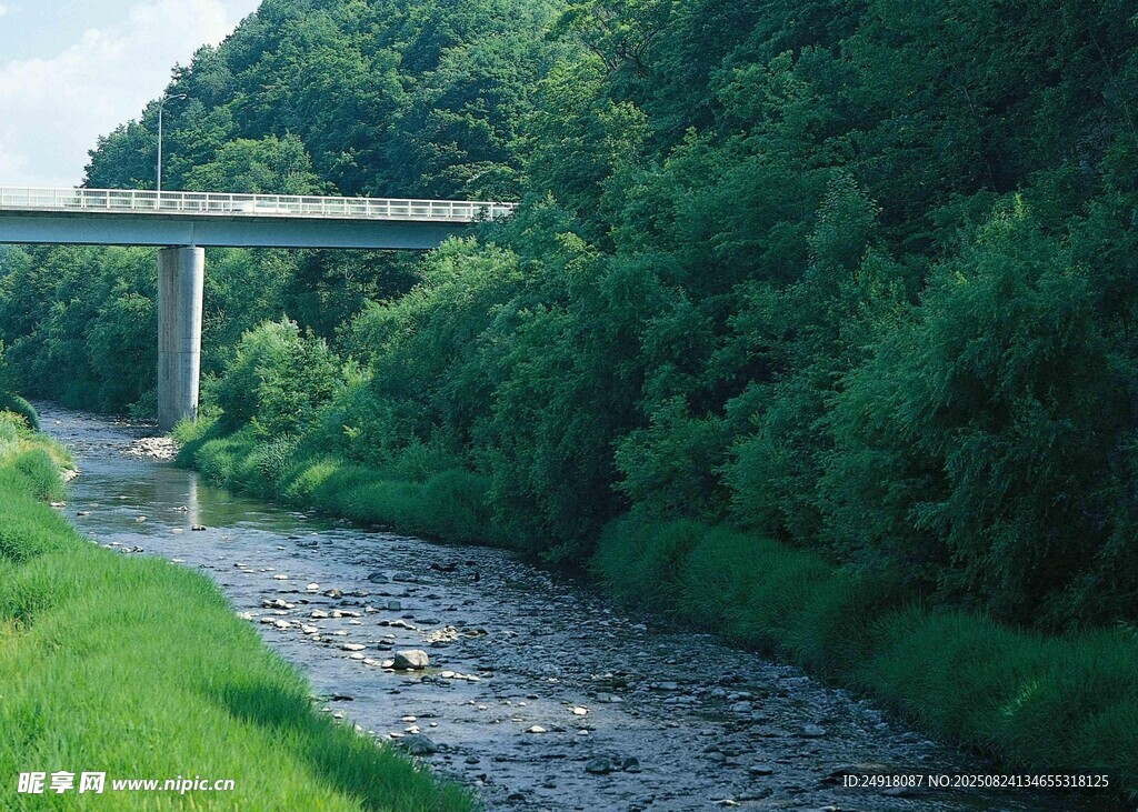 山間溪流 高架橋