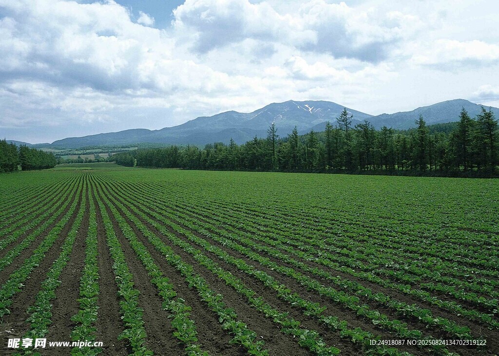 廣袤農(nóng)田與遠(yuǎn)山美景