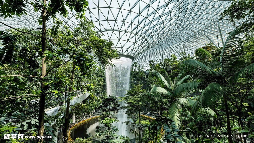 新加坡樟宜機場的綠植景觀