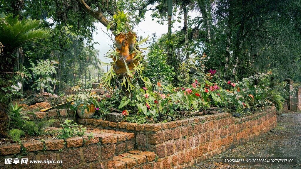 庭院綠植景觀 自然之美