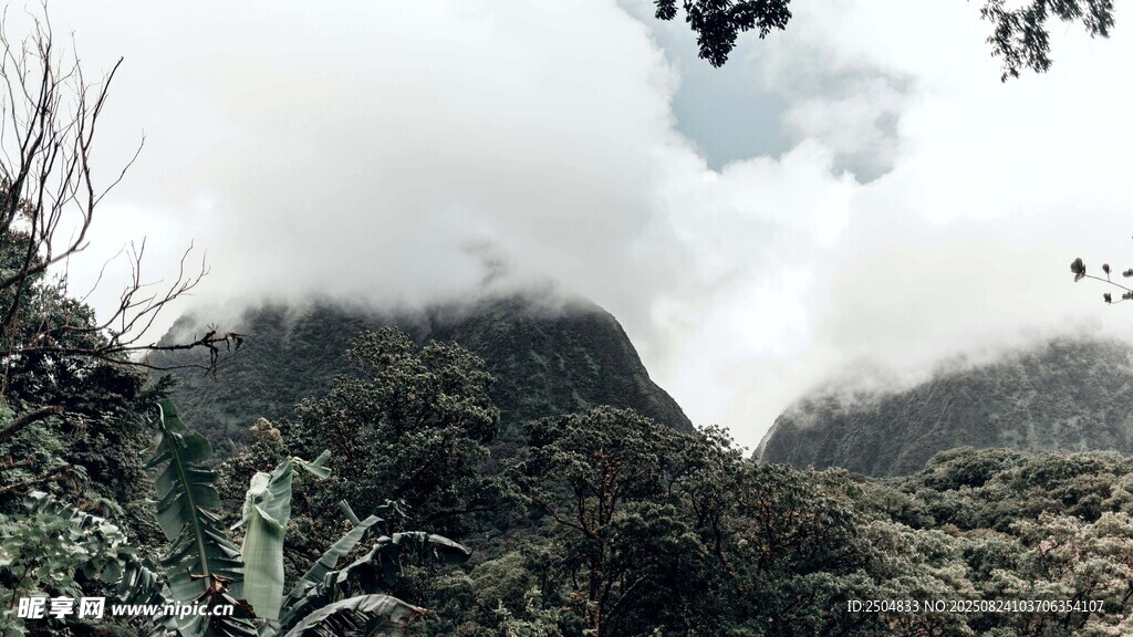 云霧繚繞的山間美景
