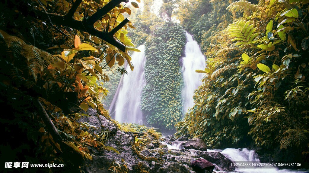雨林中的壯麗瀑布景觀