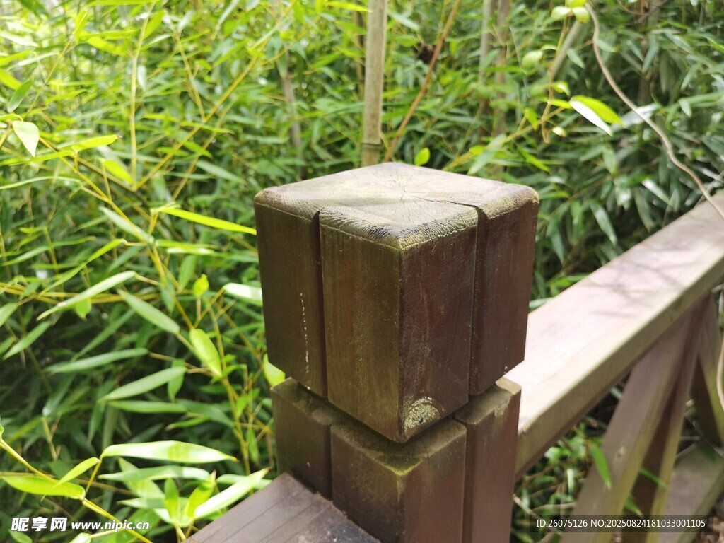蔥郁綠植與木質(zhì)圍欄特寫(xiě)