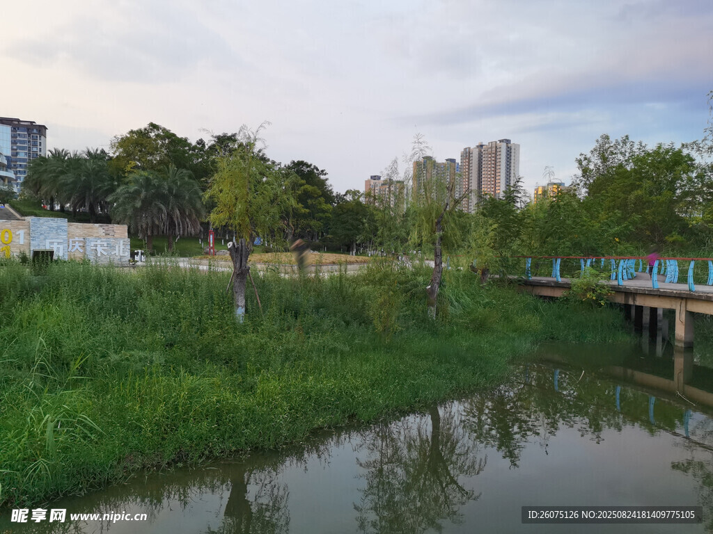 河畔綠植與城市建筑景觀