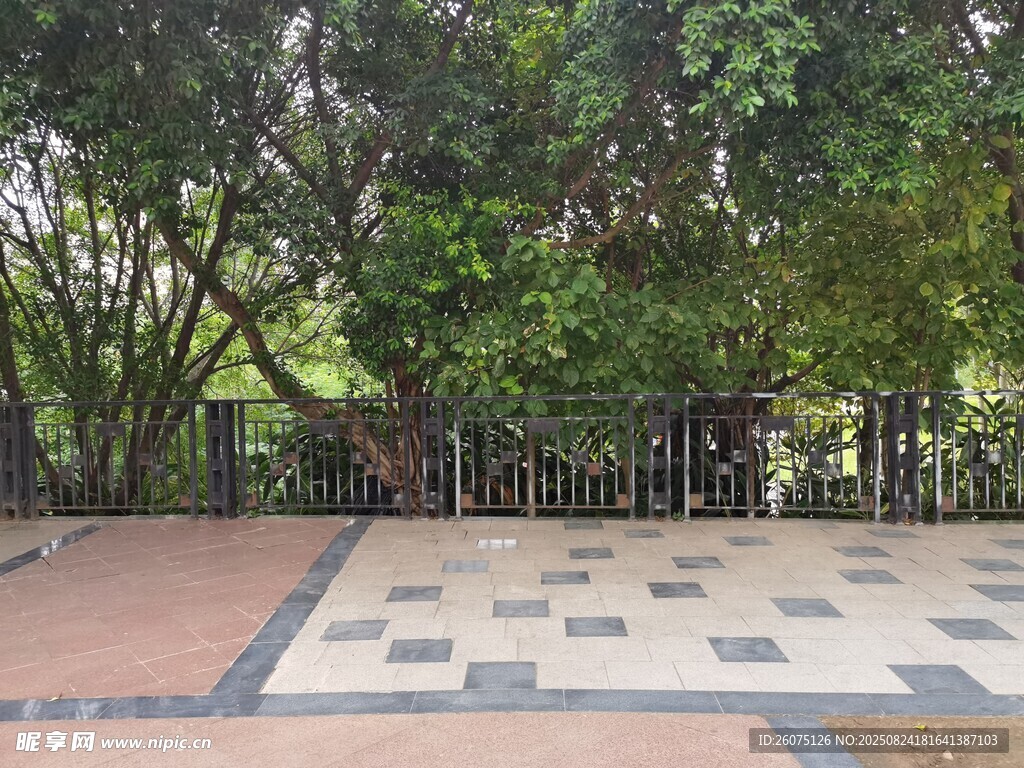 公園中的多彩鋪磚與綠植