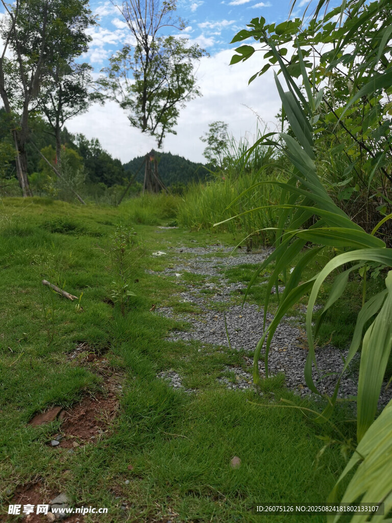 綠野小徑自然清新之景