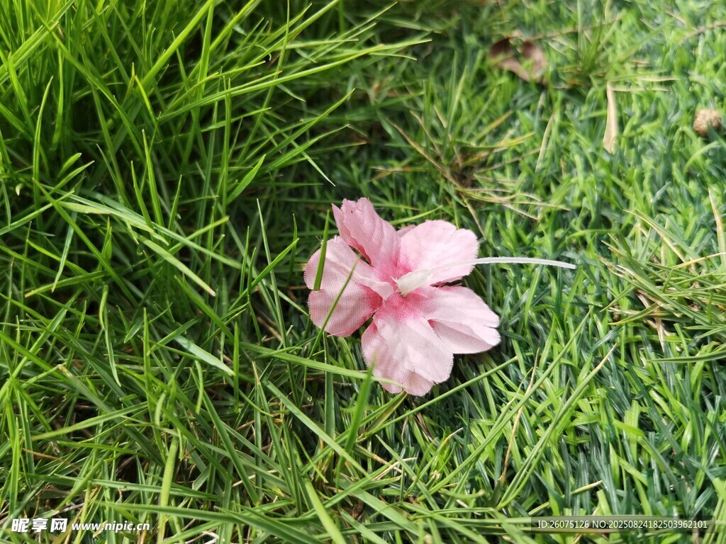 翠綠草地上的粉色仿真花朵