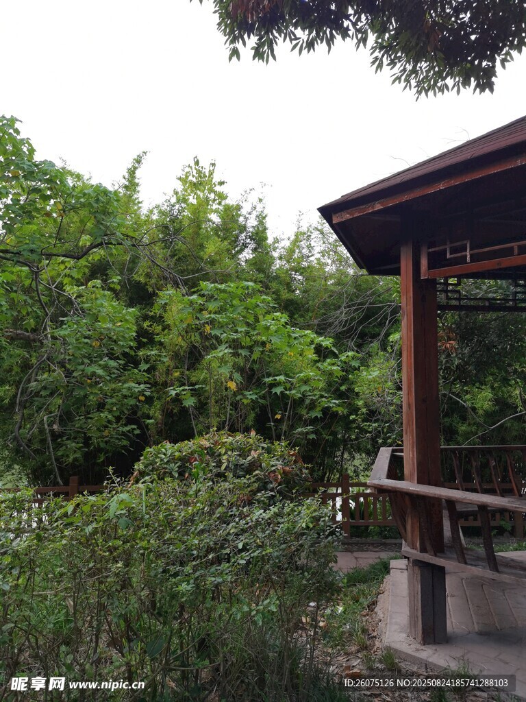 林間涼亭一角靜謐自然景致