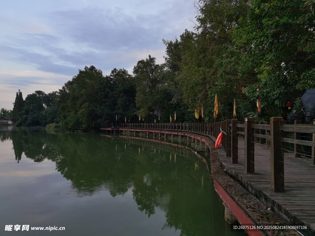 湖畔綠蔭景寧靜好風(fēng)光