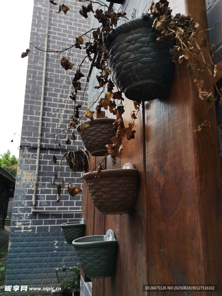 中式墻上懸掛的特色綠植花盆