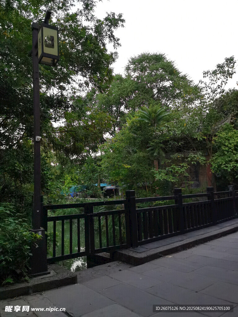 林蔭小道旁的黑色圍欄景觀