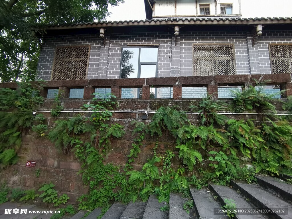 古樸木屋旁的綠植與臺階