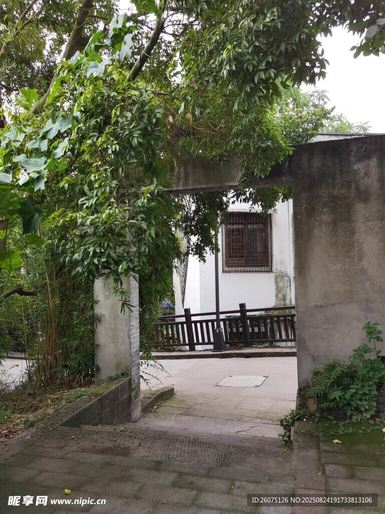 庭院一角的靜謐景致