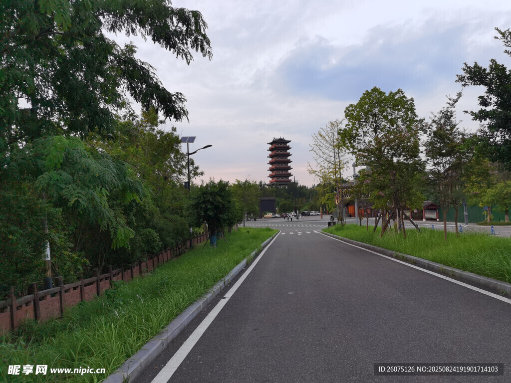 郊外靜謐的瀝青林蔭道路