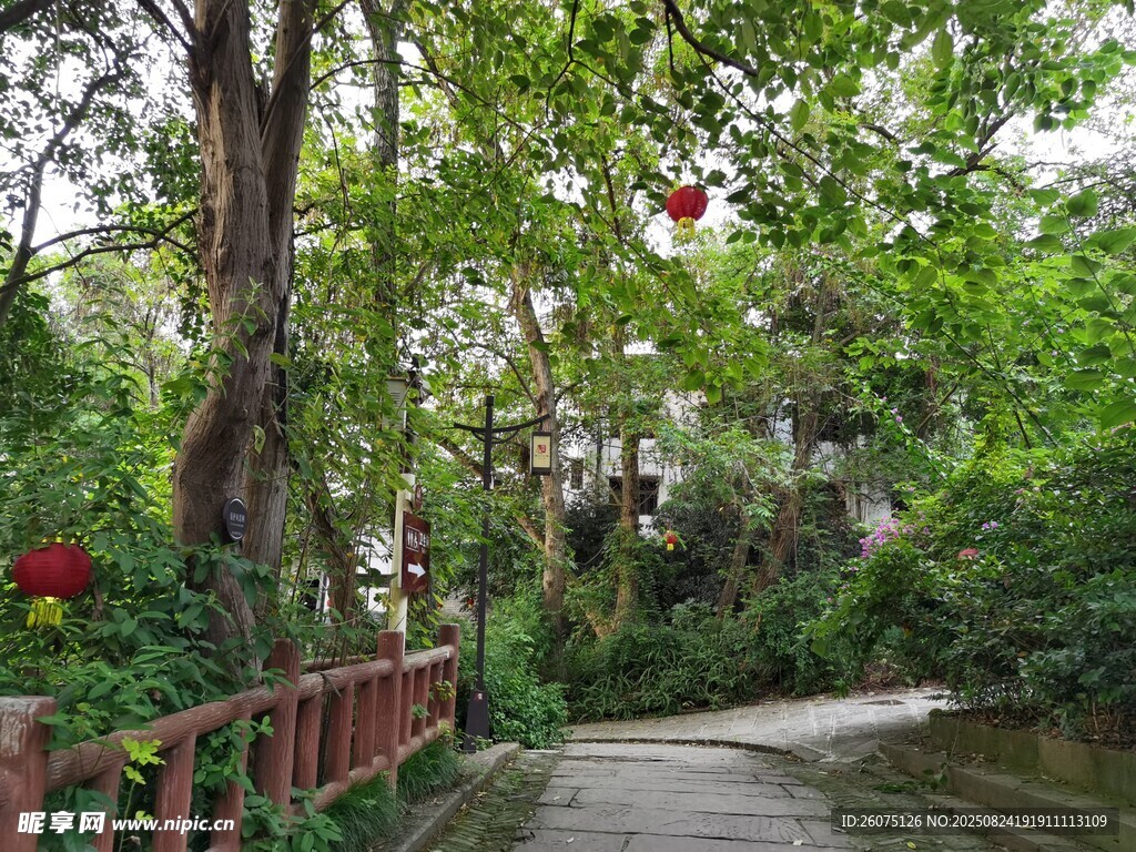 古風(fēng)林間小道掛紅燈籠景致
