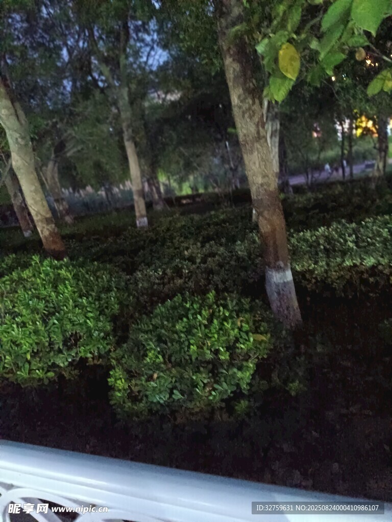 城市綠植景觀