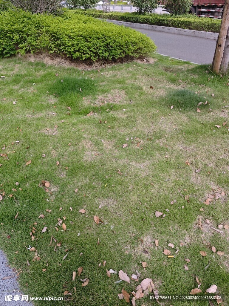 戶外草坪景觀