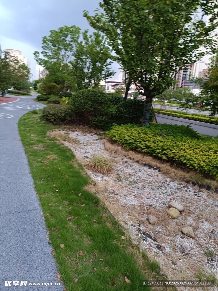 路邊綠植與碎石景觀