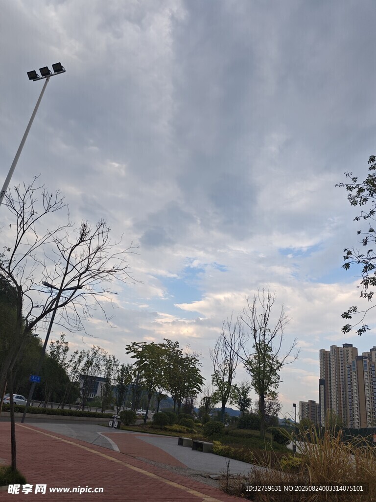 城市公園的秋日風景