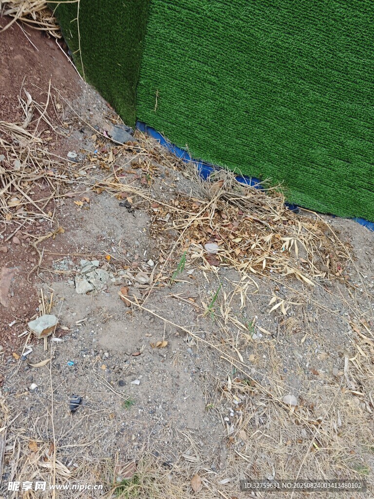 岸邊地面與綠色水域相接