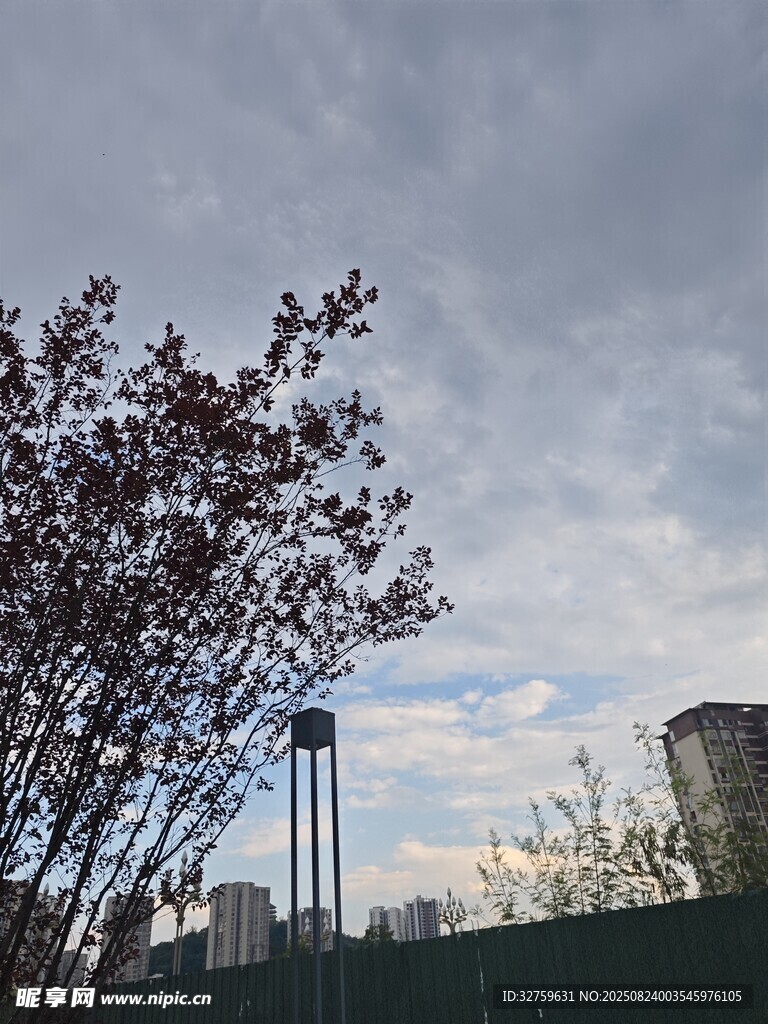城市樹梢上的天空景致