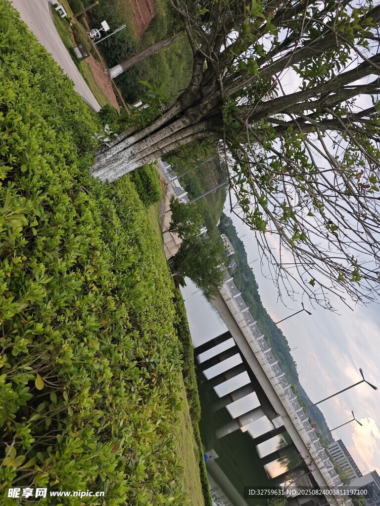 城市綠植景觀中的步道