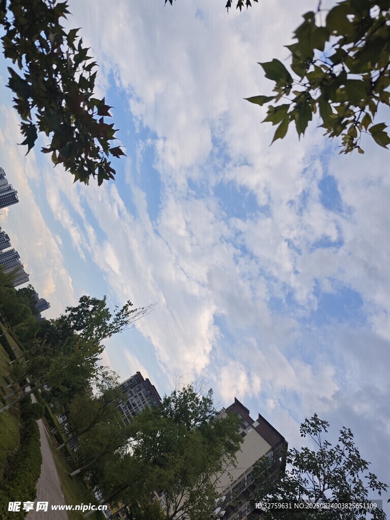 藍天白云下的綠樹建筑