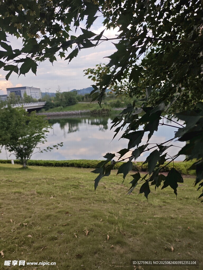 湖畔綠蔭下的寧靜景致