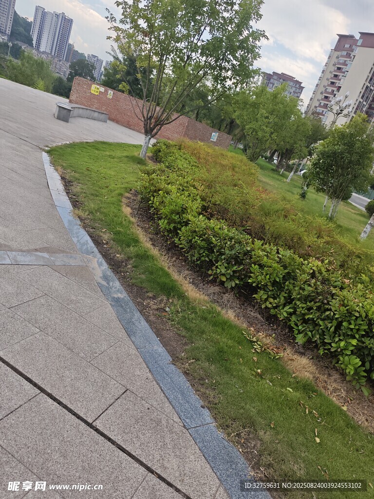 城市中的綠化帶景觀