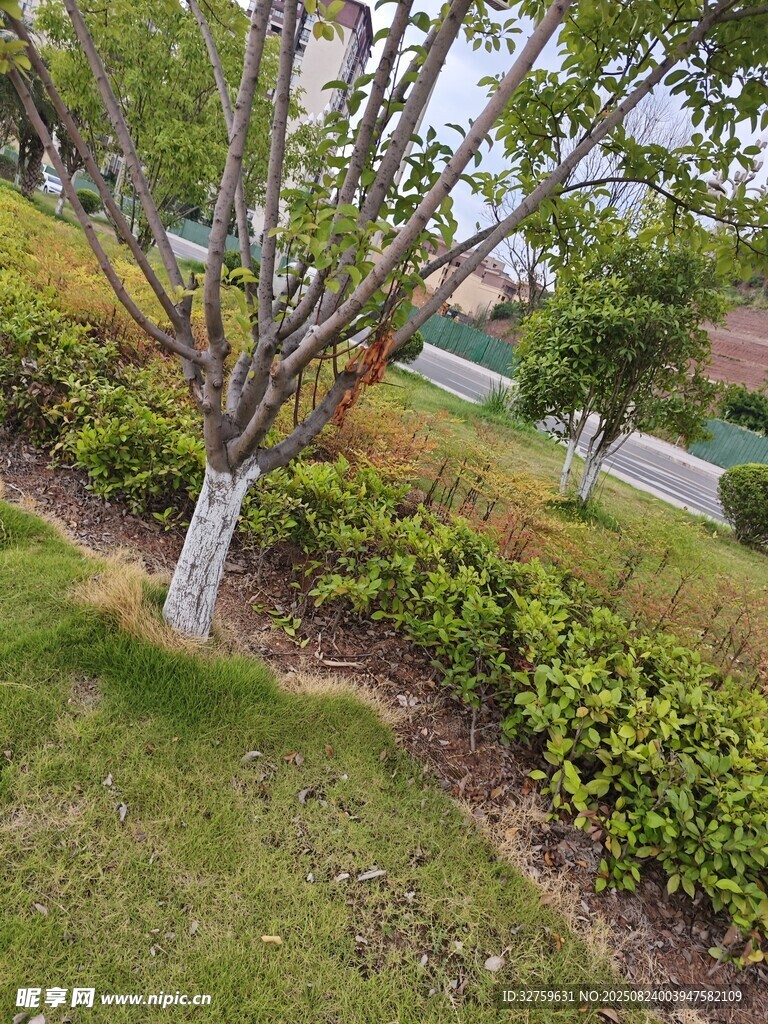 園林綠植景觀一角
