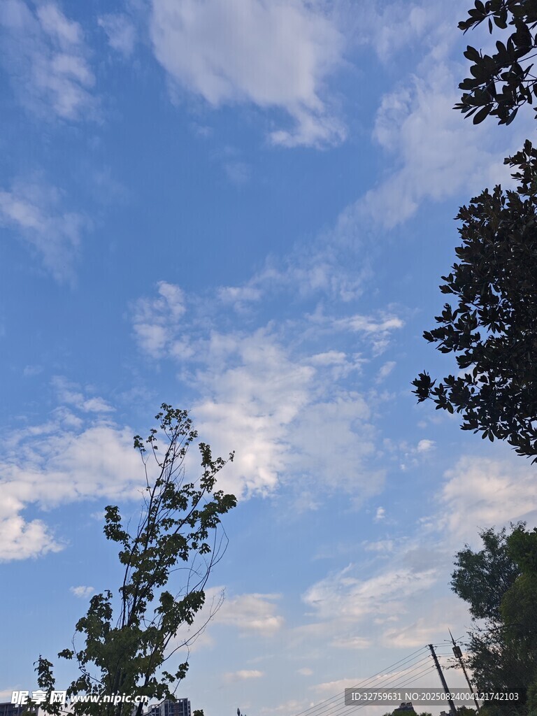 藍(lán)天綠樹(shù)間的美好景致
