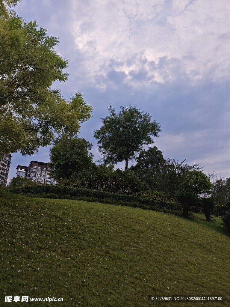 戶外綠地旁的樹(shù)木與房屋