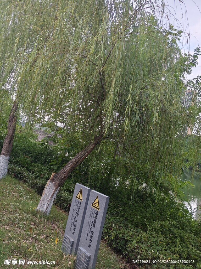 垂柳旁的石碑景觀