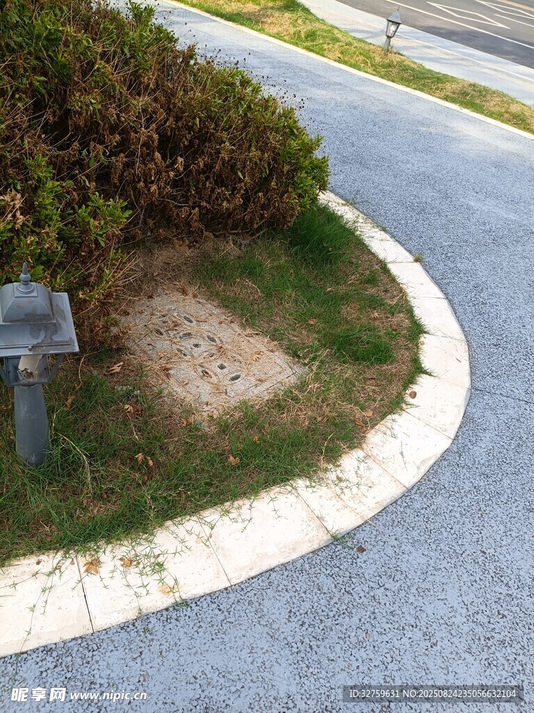 路邊綠化帶中的空缺區(qū)域