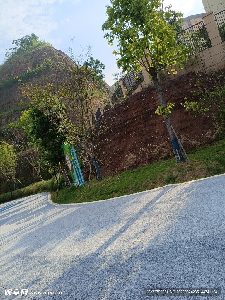 戶外道路旁的綠植與土坡
