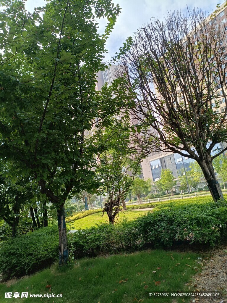 春日綠蔭草地風(fēng)景圖