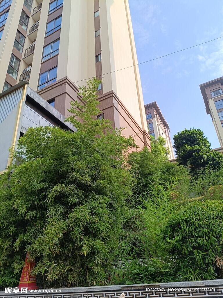 高樓旁綠意盎然的植被景觀
