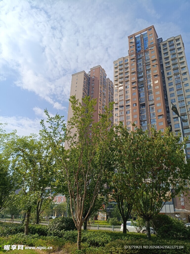 城市高樓旁的綠意景觀