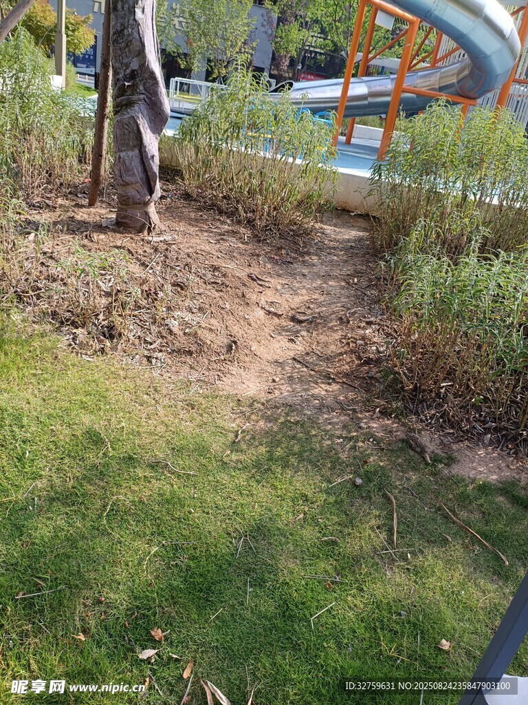 公園中一處綠植與泥土區(qū)域