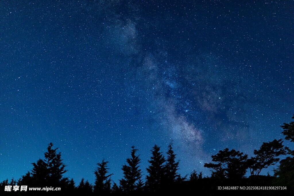 森林之上的璀璨星空