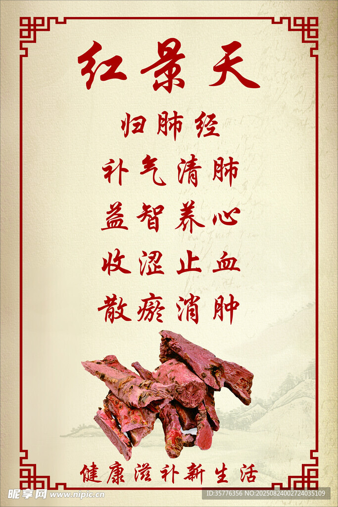 紅景天藥材展示及功效介紹