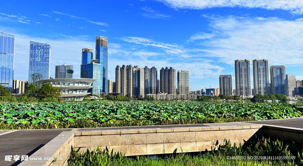 城市天際線