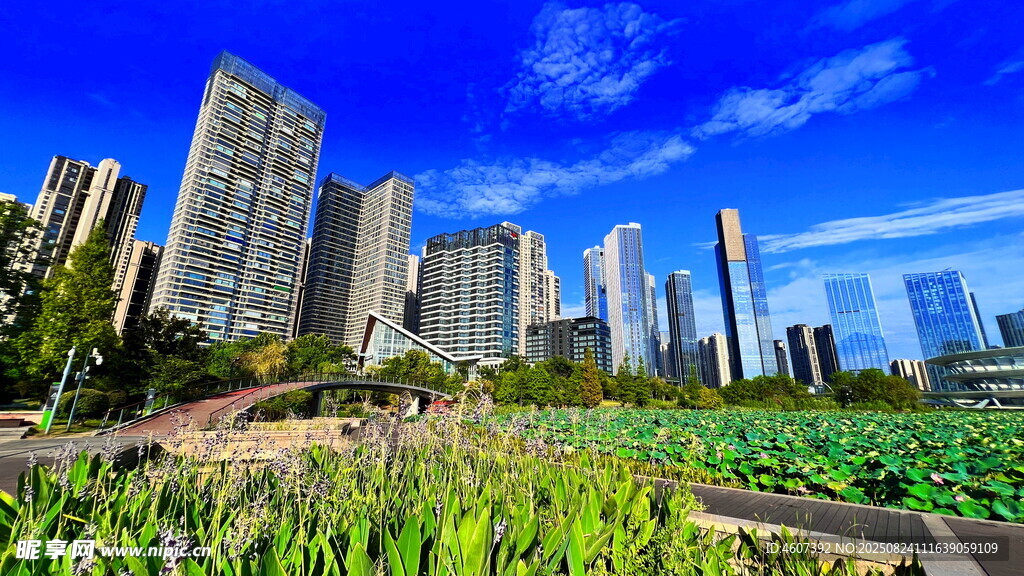 城市與田園共生的美麗景致